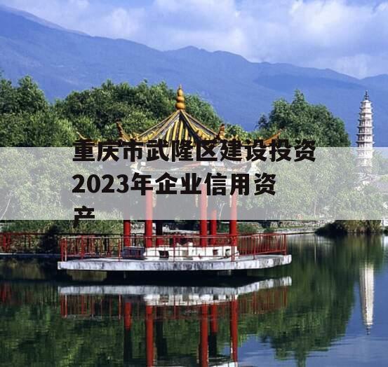 重庆市武隆区建设投资2023年企业信用资产