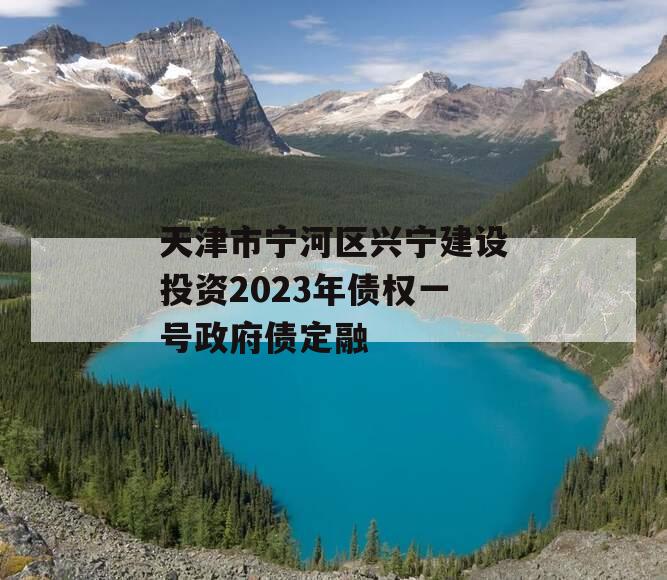 天津市宁河区兴宁建设投资2023年债权一号政府债定融