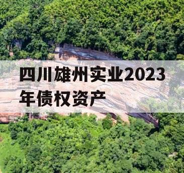 四川雄州实业2023年债权资产