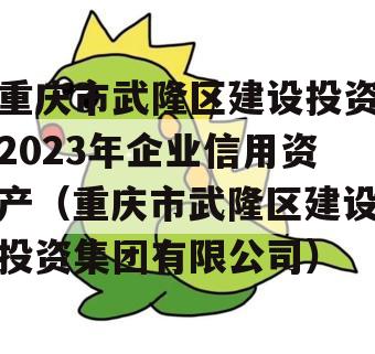 重庆市武隆区建设投资2023年企业信用资产（重庆市武隆区建设投资集团有限公司）