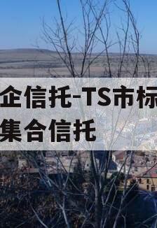 央企信托-TS市标准债集合信托