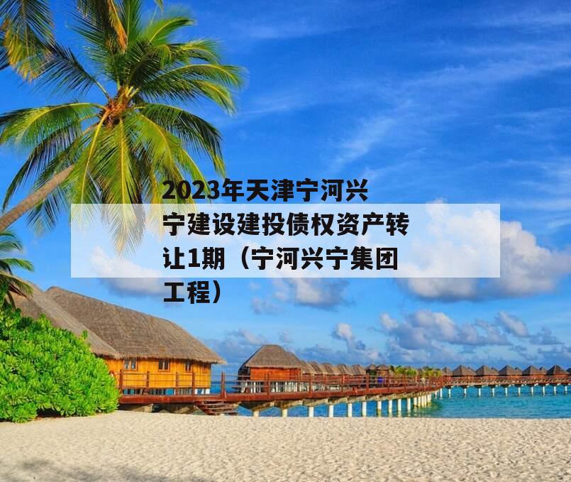 2023年天津宁河兴宁建设建投债权资产转让1期（宁河兴宁集团工程）