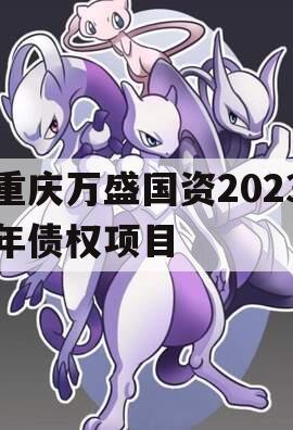 重庆万盛国资2023年债权项目