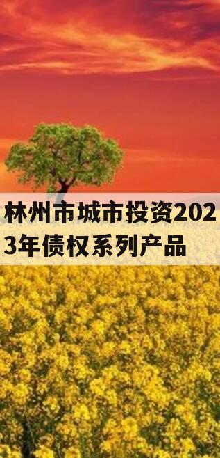 林州市城市投资2023年债权系列产品