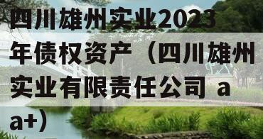 四川雄州实业2023年债权资产（四川雄州实业有限责任公司 aa+）