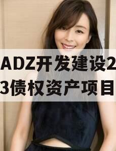 CADZ开发建设2023债权资产项目