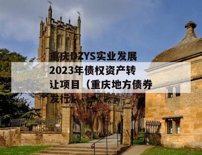 重庆DZYS实业发展2023年债权资产转让项目（重庆地方债券发行）