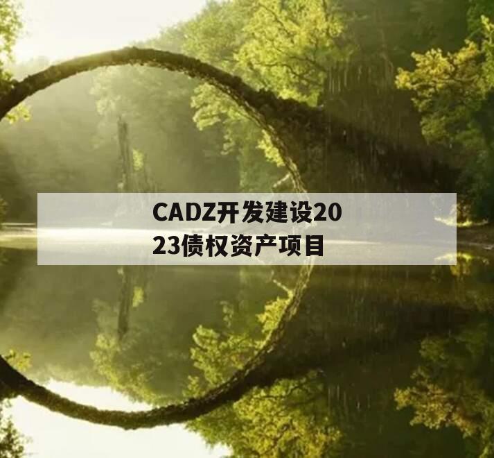 CADZ开发建设2023债权资产项目