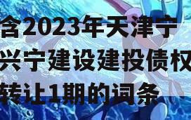 包含2023年天津宁河兴宁建设建投债权资产转让1期的词条