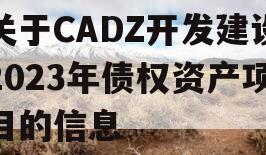 关于CADZ开发建设2023年债权资产项目的信息