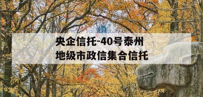 央企信托-40号泰州地级市政信集合信托