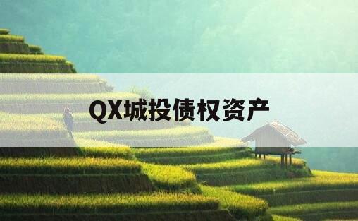 QX城投债权资产