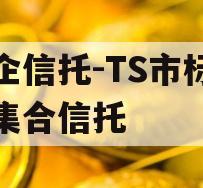 央企信托-TS市标准债集合信托