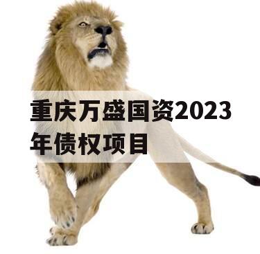 重庆万盛国资2023年债权项目