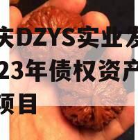 重庆DZYS实业发展2023年债权资产转让项目