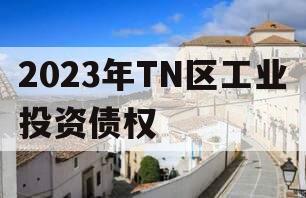 2023年TN区工业投资债权