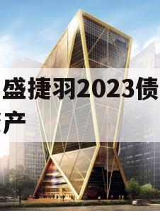 万盛捷羽2023债权资产