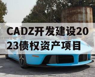 CADZ开发建设2023债权资产项目