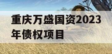 重庆万盛国资2023年债权项目