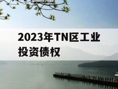 2023年TN区工业投资债权