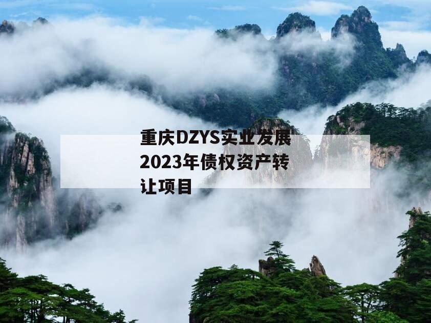 重庆DZYS实业发展2023年债权资产转让项目