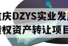 重庆DZYS实业发展债权资产转让项目