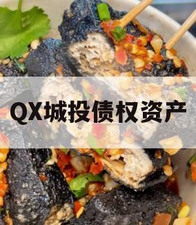 QX城投债权资产