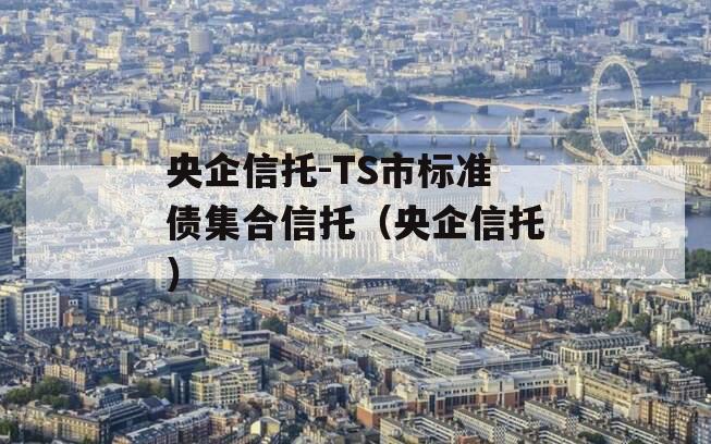 央企信托-TS市标准债集合信托（央企信托）