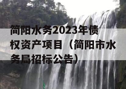 简阳水务2023年债权资产项目（简阳市水务局招标公告）