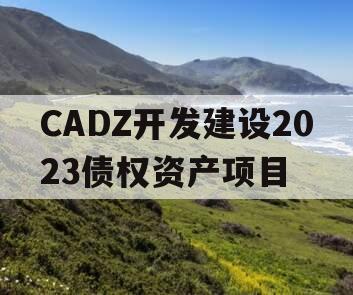 CADZ开发建设2023债权资产项目