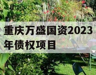 重庆万盛国资2023年债权项目