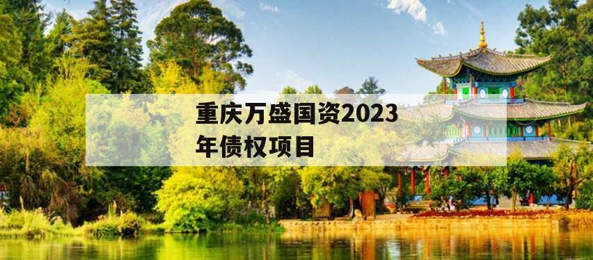 重庆万盛国资2023年债权项目