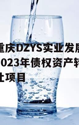 重庆DZYS实业发展2023年债权资产转让项目