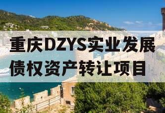 重庆DZYS实业发展债权资产转让项目