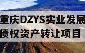 重庆DZYS实业发展债权资产转让项目