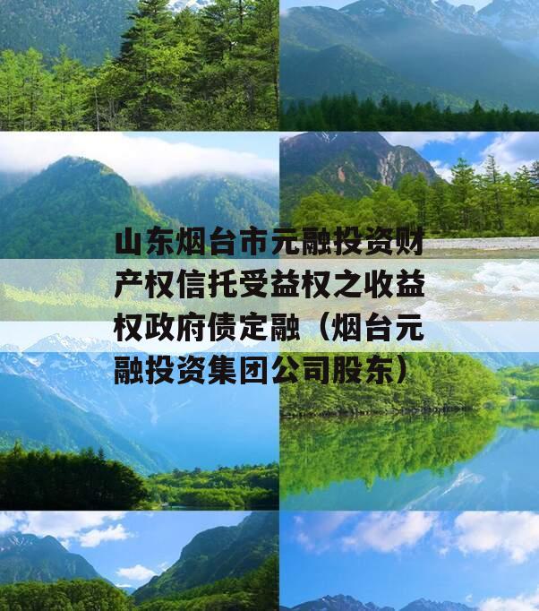 山东烟台市元融投资财产权信托受益权之收益权政府债定融（烟台元融投资集团公司股东）