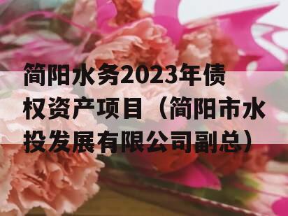 简阳水务2023年债权资产项目（简阳市水投发展有限公司副总）