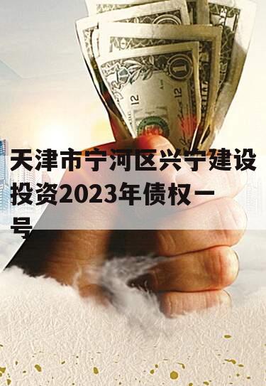 天津市宁河区兴宁建设投资2023年债权一号