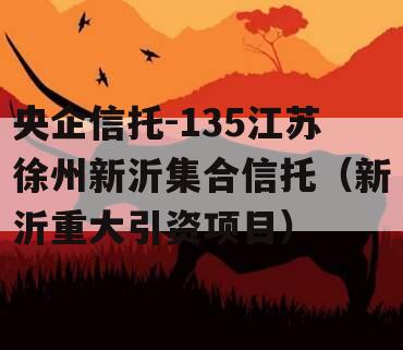 央企信托-135江苏徐州新沂集合信托（新沂重大引资项目）