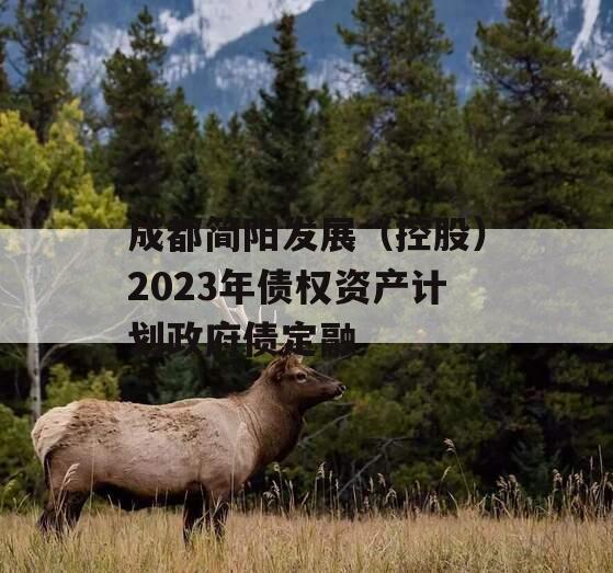 成都简阳发展（控股）2023年债权资产计划政府债定融