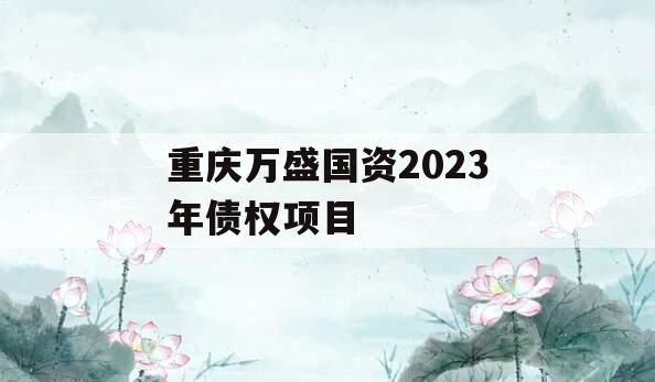 重庆万盛国资2023年债权项目