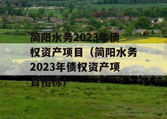 简阳水务2023年债权资产项目（简阳水务2023年债权资产项目招标）