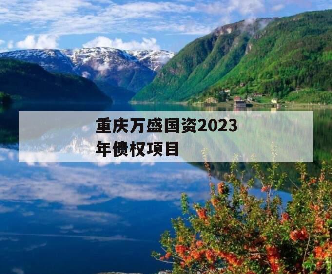 重庆万盛国资2023年债权项目