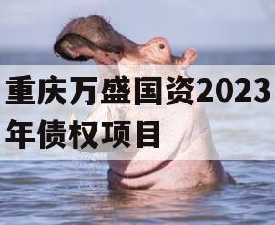 重庆万盛国资2023年债权项目