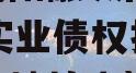 四川简阳融城国投2023年实业债权拍卖（简阳宗地拍卖）