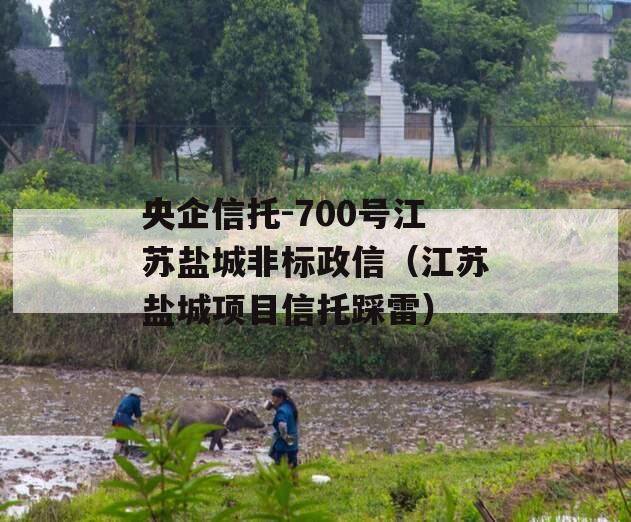 央企信托-700号江苏盐城非标政信（江苏盐城项目信托踩雷）