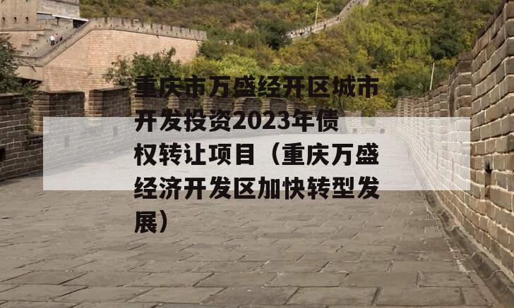 重庆市万盛经开区城市开发投资2023年债权转让项目（重庆万盛经济开发区加快转型发展）