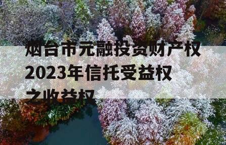 烟台市元融投资财产权2023年信托受益权之收益权