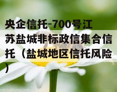 央企信托-700号江苏盐城非标政信集合信托（盐城地区信托风险）