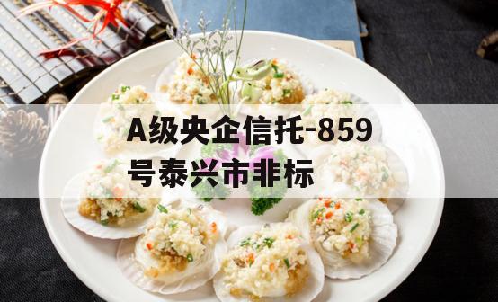 A级央企信托-859号泰兴市非标